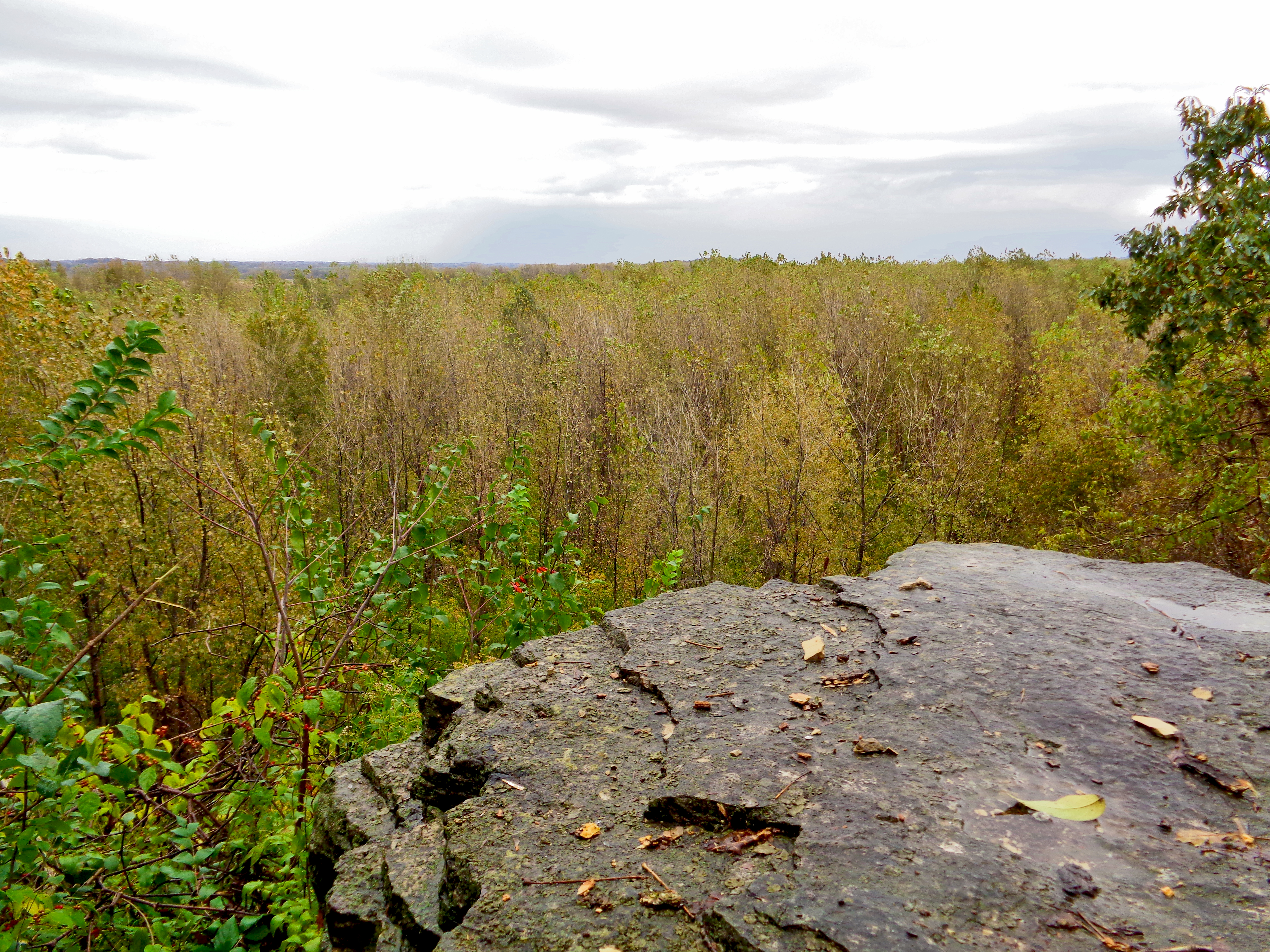 Rocky plateau overlooking tree filled bottomlands