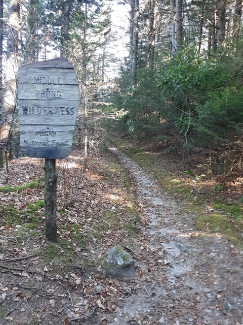 Worn wooden Middle Prong Wilderness sign to the left of a trail heading into a forest