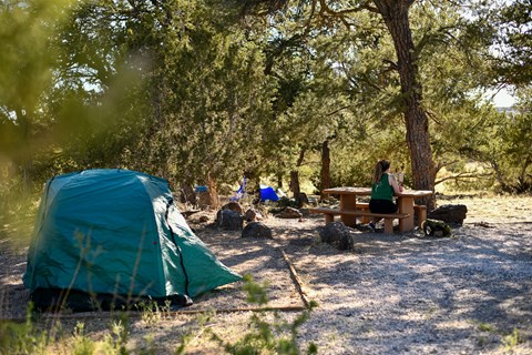 A tent set up in a campground and a person sitting at a picnic table under pine trees.