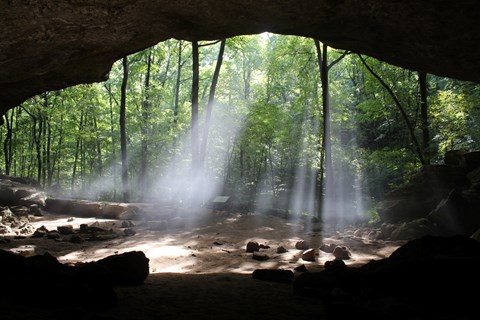 A fifty foot bluff shelter frames the green forest as rays of sunlight shine into the bluff shelter.