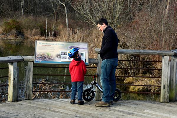 Man and child with bike and helmet, stand in front of “Mammals and Birds” panel on wooden boardwalk.