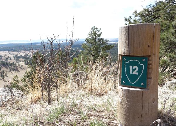 Post #12 Fire Maintains The Balance