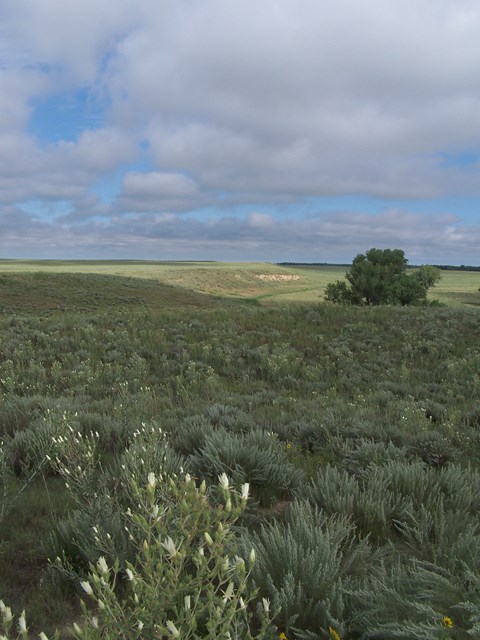 Prairie grasses stretch into the distance along a bluff line overlooking a creek.