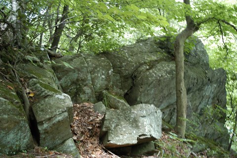 A rocky outcrop surrounded by trees