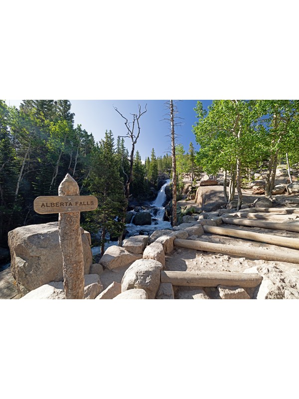 View of Alberta Falls with green-leaved aspen trees lining the trail