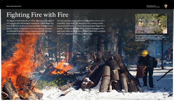 Wayside exhibit explaining the 4 planned phases of a healthy forest.