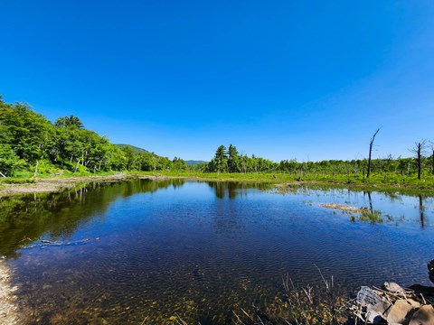 A landscape view of a large pond with blue skies and green vegetation in the distance.