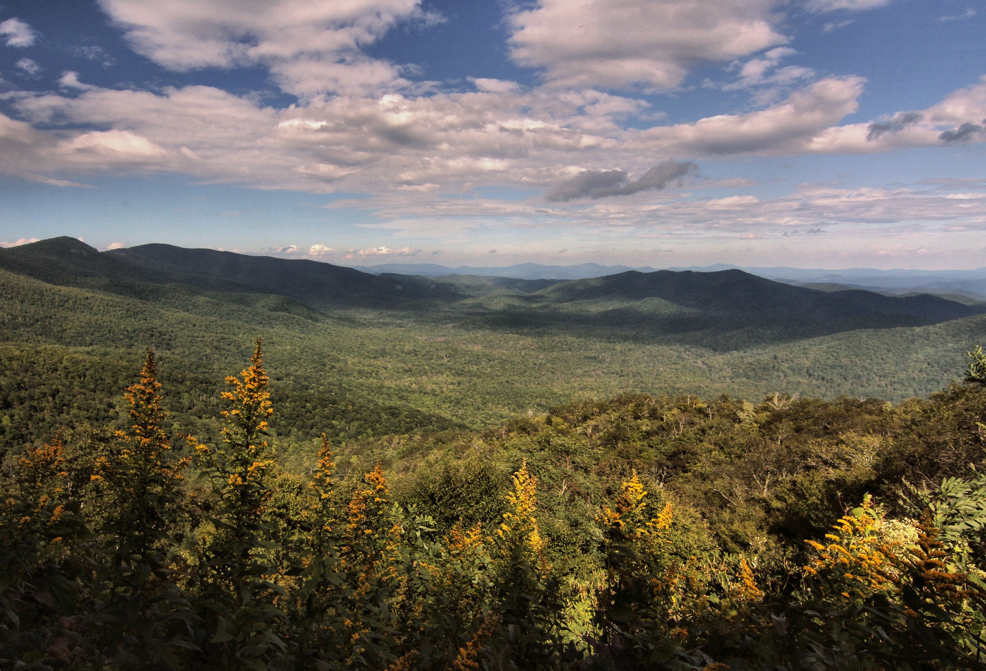 Pink Beds Overlook