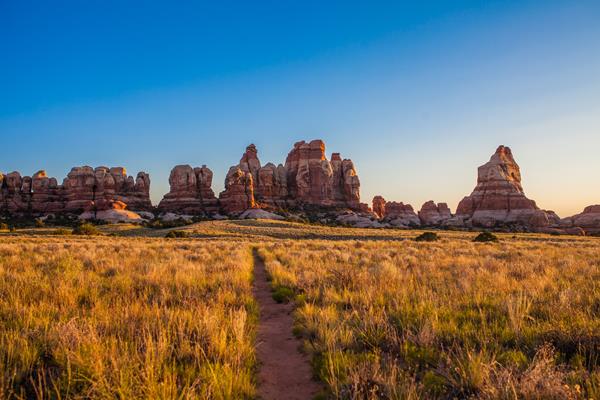 Multicolored sandstone spires in a yellow meadow at sunset
