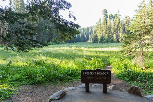 A wooden sign labeled "Crescent Meadow" stands in front of a lush, green meadow.