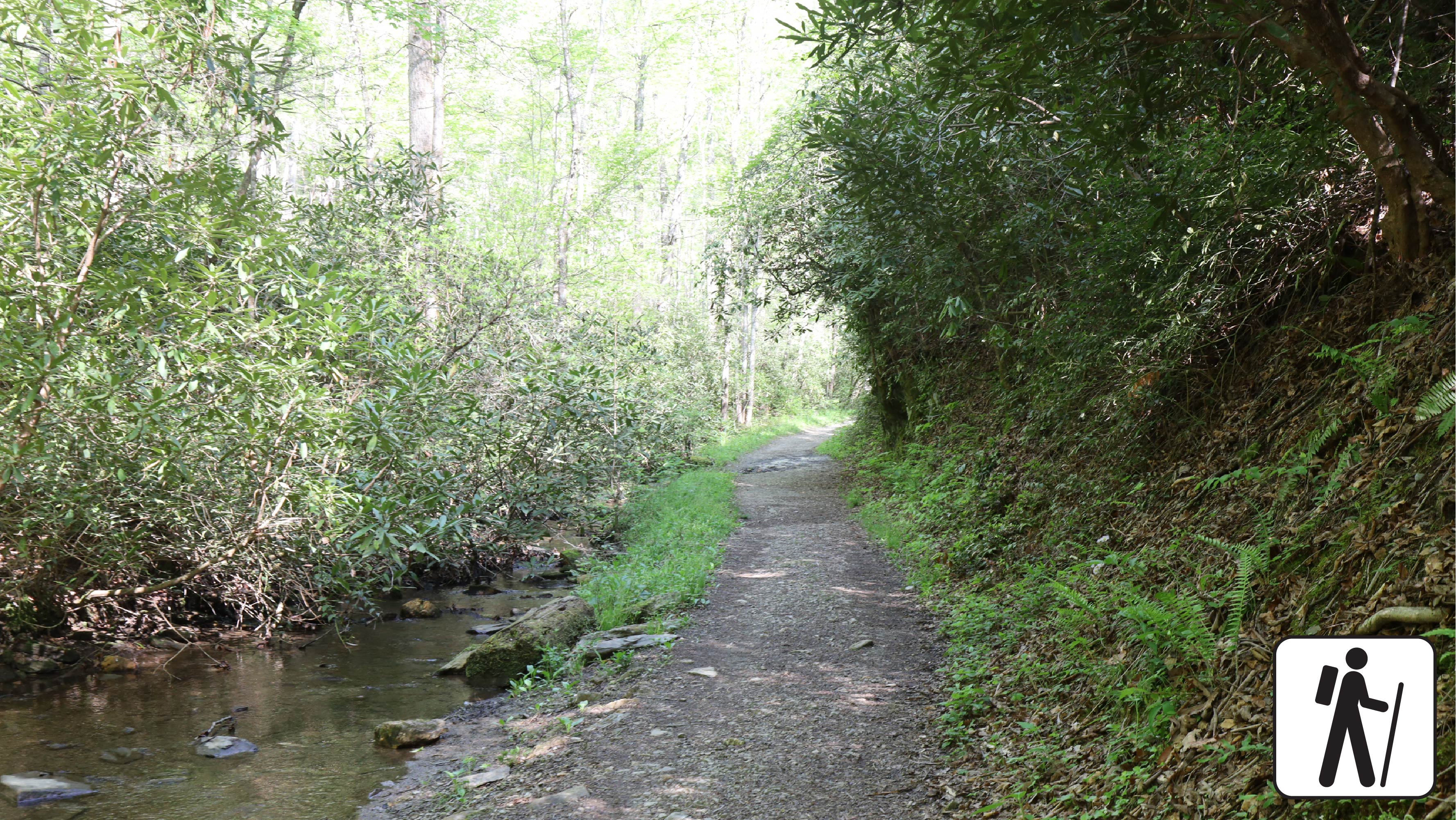 A trail beside a shallow stream.