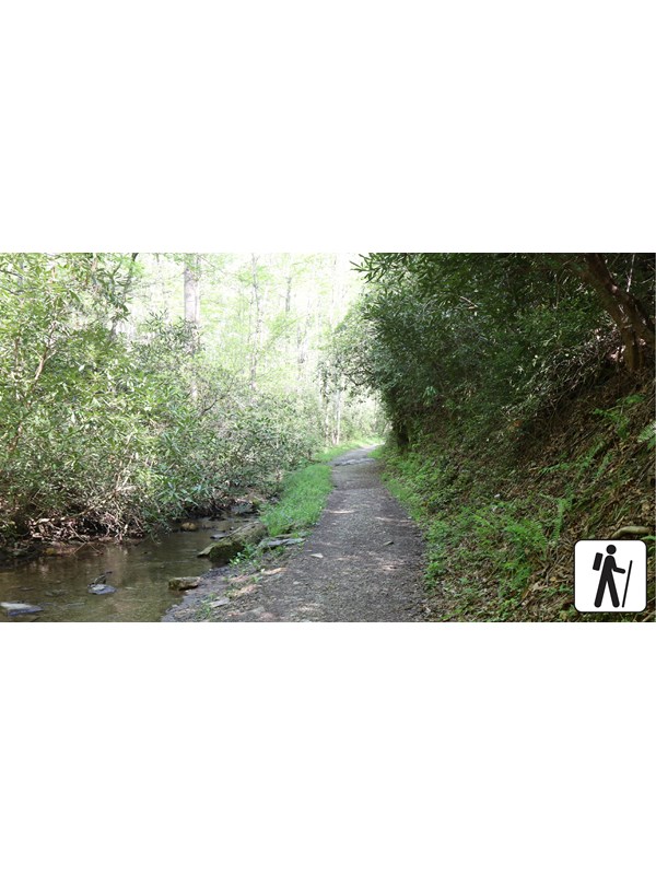 A trail beside a shallow stream.