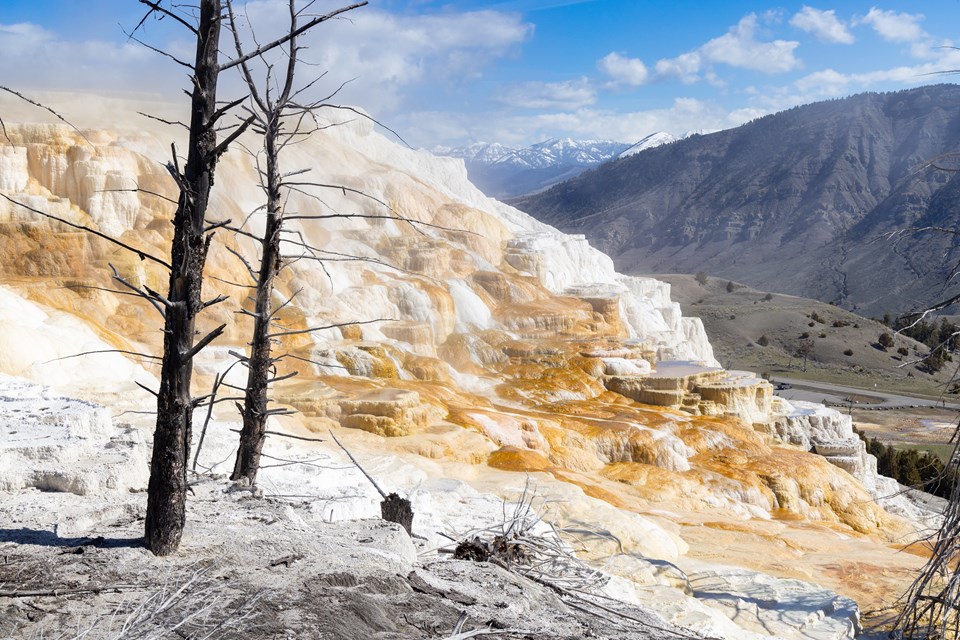 Steam rises off of water running down travertine terrace formations colored orange by microoranisms.
