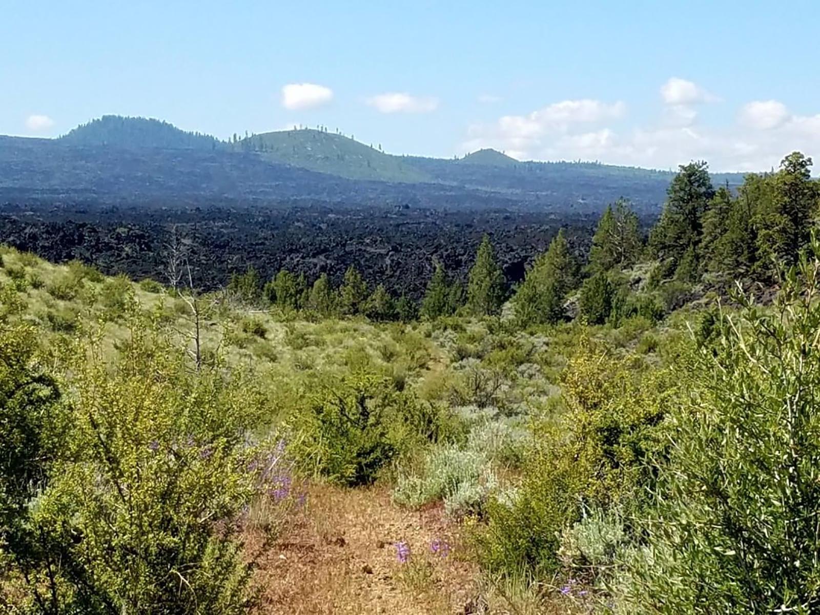 Whitney Butte Trail Start, Tulelake, Ca