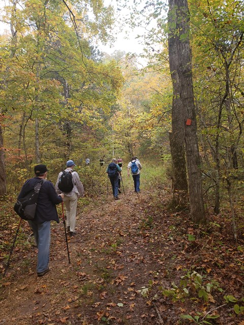 back view of four hikers along a trail, wearing backpacks and carrying hiking sticks with trees