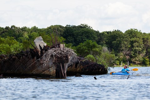 A color photograph of a man on a blue kayak next to an old sunken ship.
