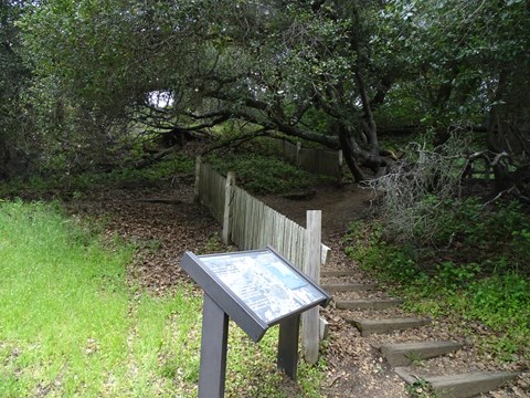 A wooden fence runs up a hill along side some steps. Further up, another section of fence continues.