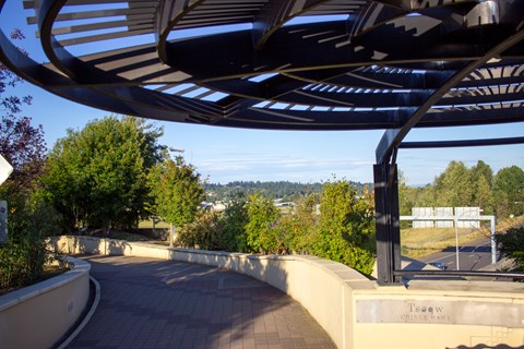 Photo of trail