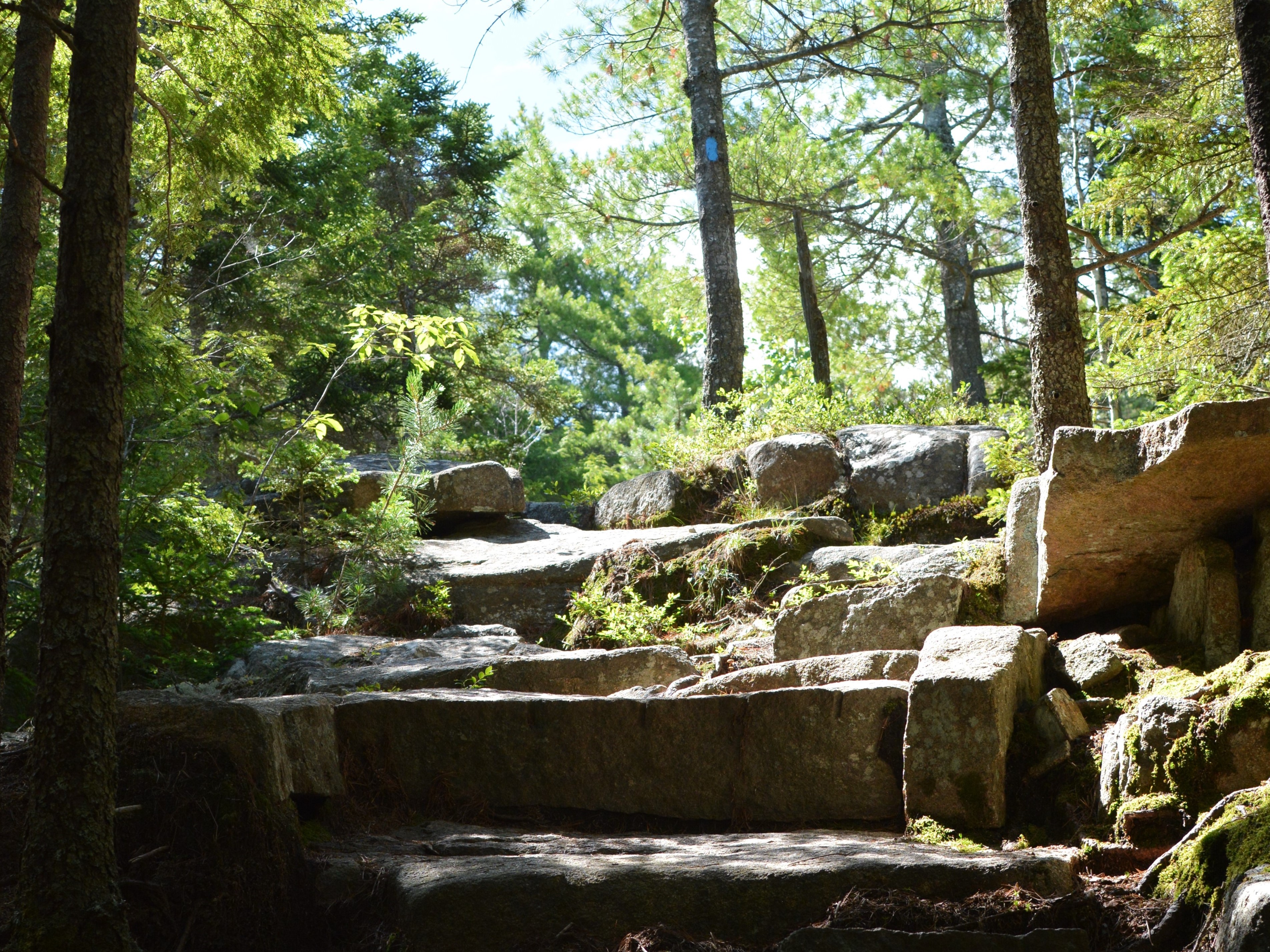 Rocky granite steps along a trail with a blue blaze