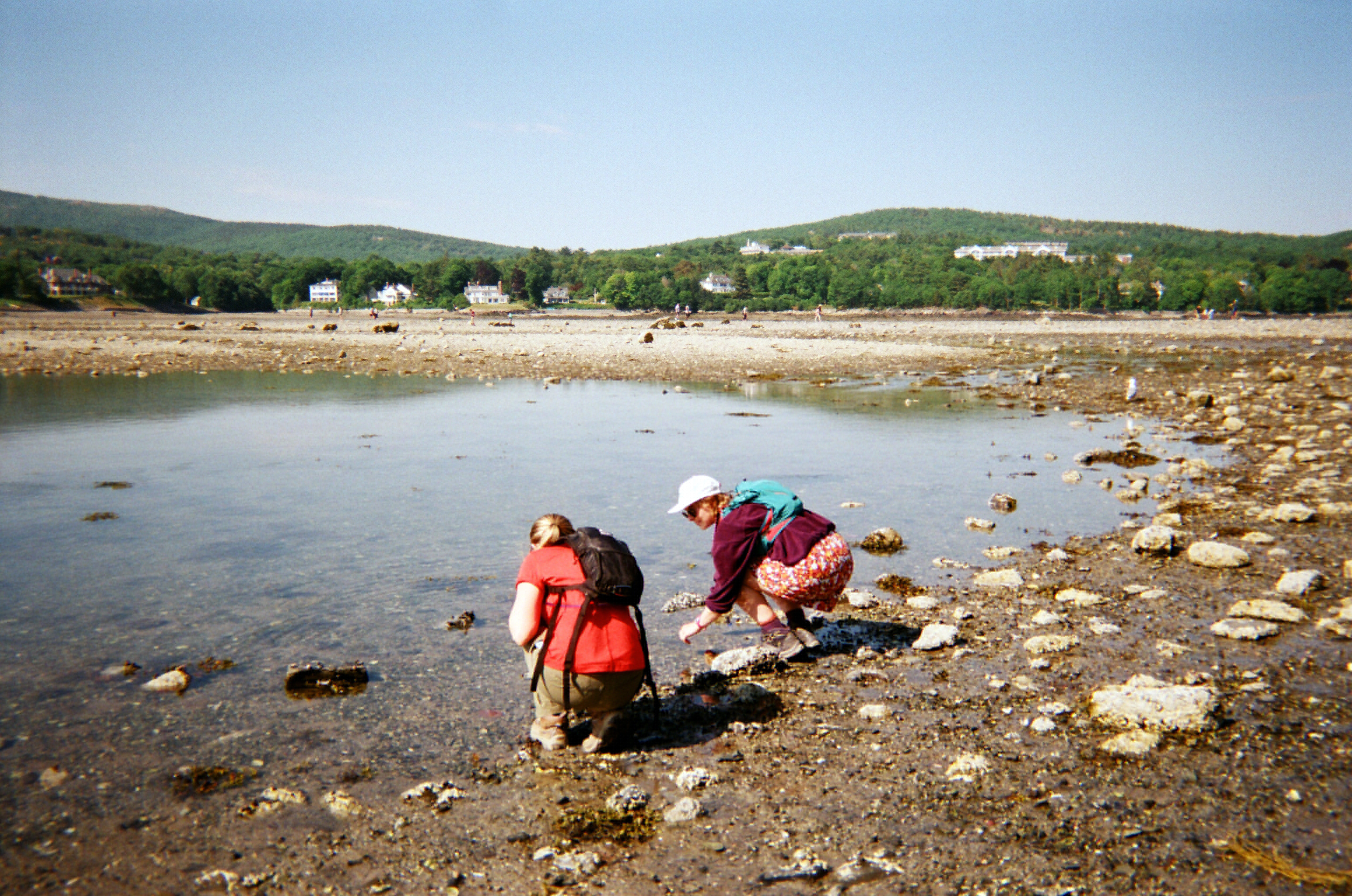 Tidepooling at Bar Island