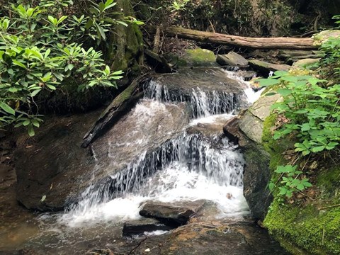 Gully Creek cascades down a series of large rocks flanked by foliage.
