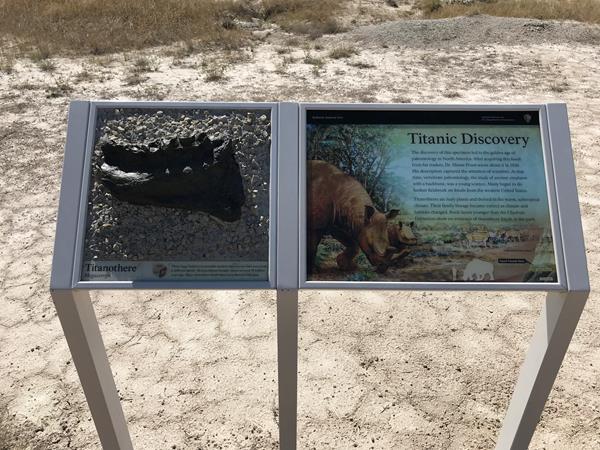 A two-panel exhibit showing illustration of two large rhinoceras looking beasts and a bronze jaw.