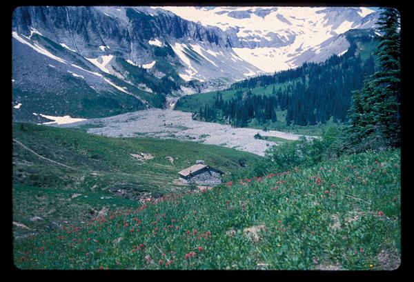 Trail shelter surrounded by subalpine meadows