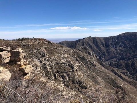 A mountainous ridge with trees and rocks looms in the distance