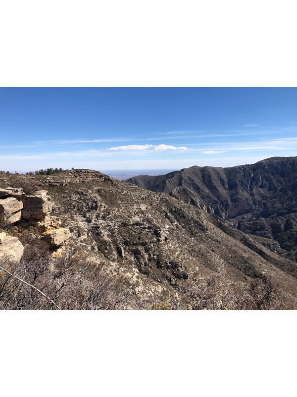 A mountainous ridge with trees and rocks looms in the distance