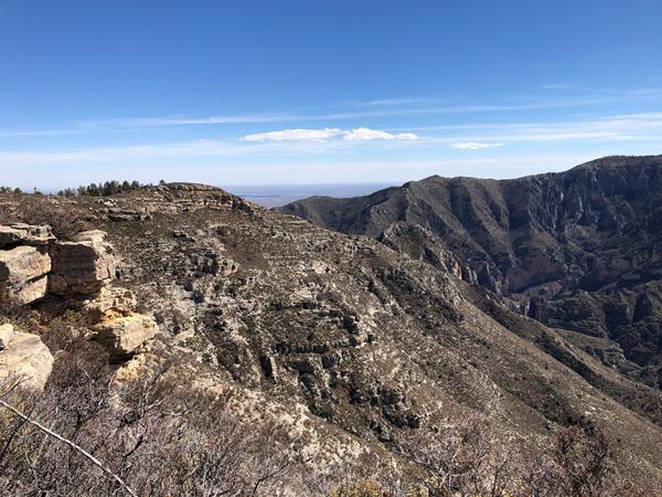 A mountainous ridge with trees and rocks looms in the distance