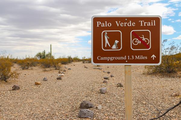 Brown trailhead sign reading "Palo Verde Trail, Campground 1.3 miles" with pet-friendly icon.