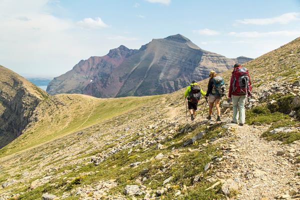 Group of three hikes subalpine trail toward large mountain
