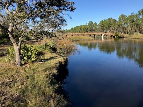 a wooden bridge in the distance over a navy blue river with tree in the left forground