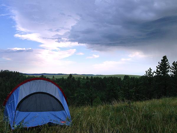 a tent in a prairie overlooking the forest