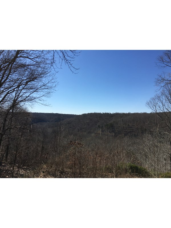 A winter view above a river valley
