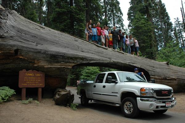 A truck drives through Tunnel Log, while a group of people pose for a photo above.