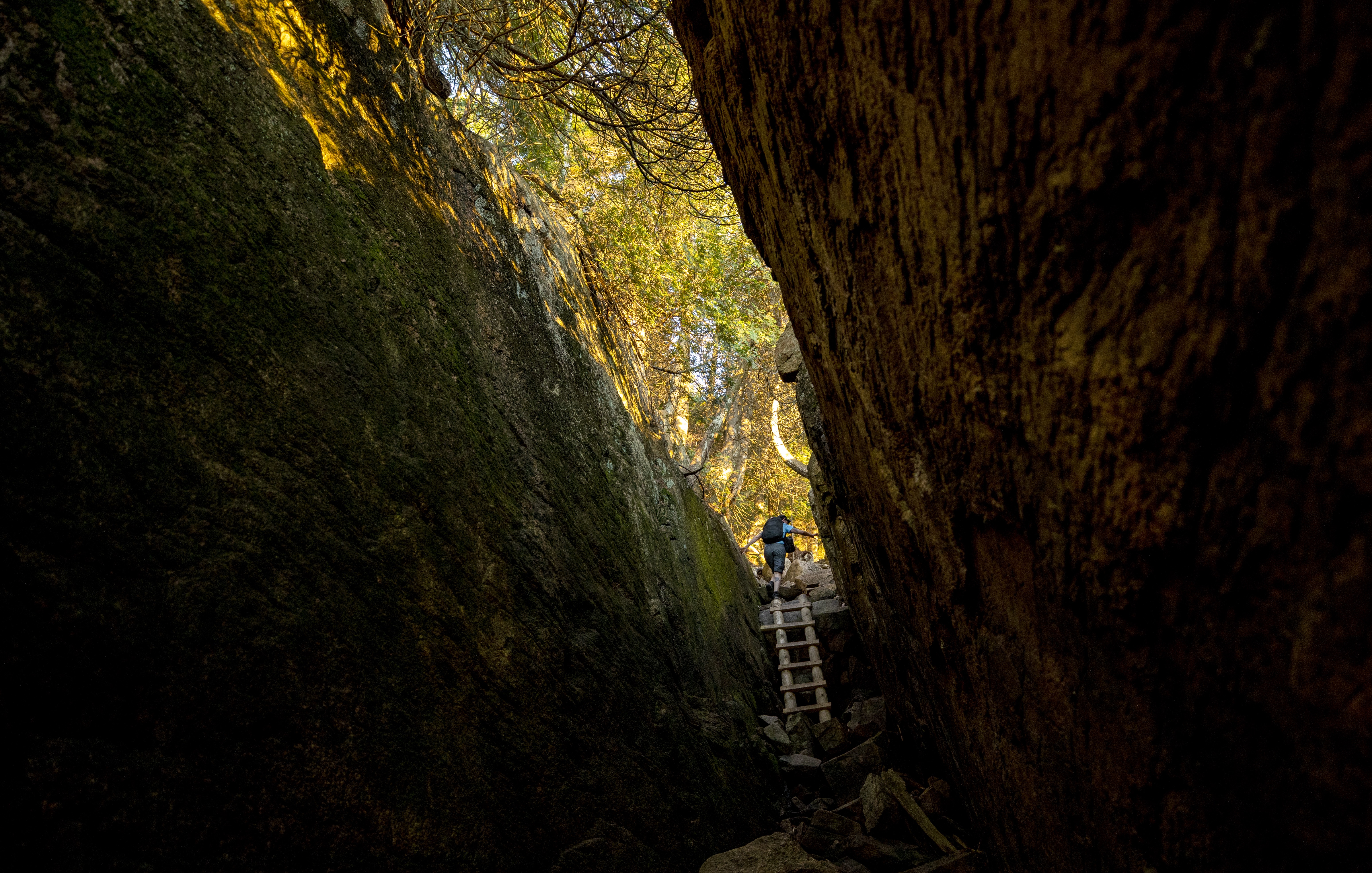 Hiker ascends a wooden ladder in a ravine