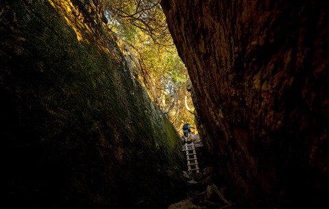 Hiker ascends a wooden ladder in a ravine