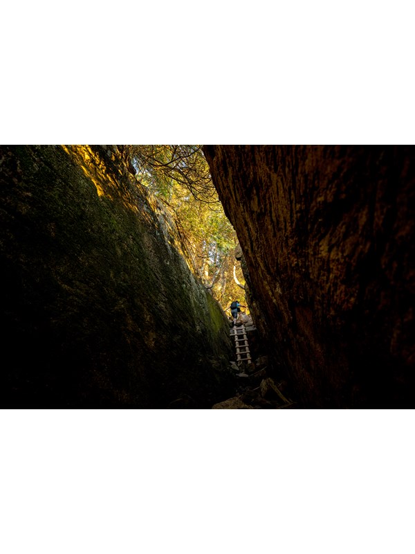 Hiker ascends a wooden ladder in a ravine