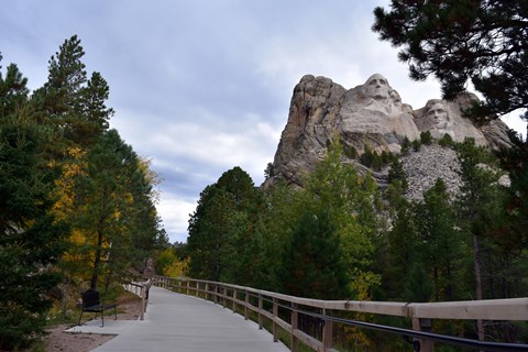 Photo of the beginning of the Presidential Trail leading towards the sculpture.