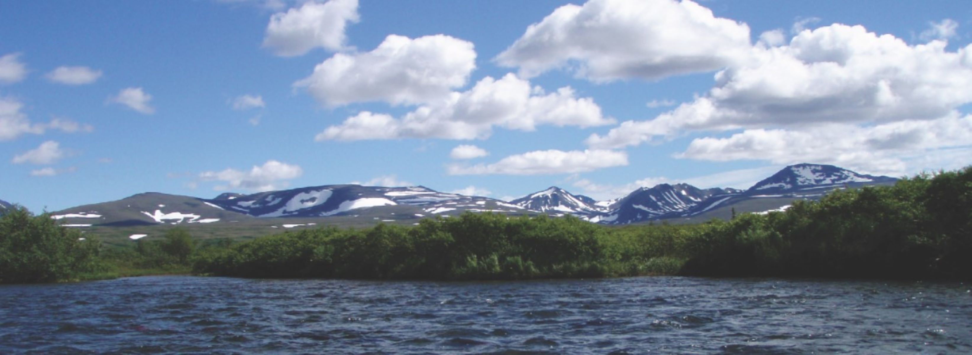 a wide river skirts the base of a green stand of trees and snow-dappled mountains.