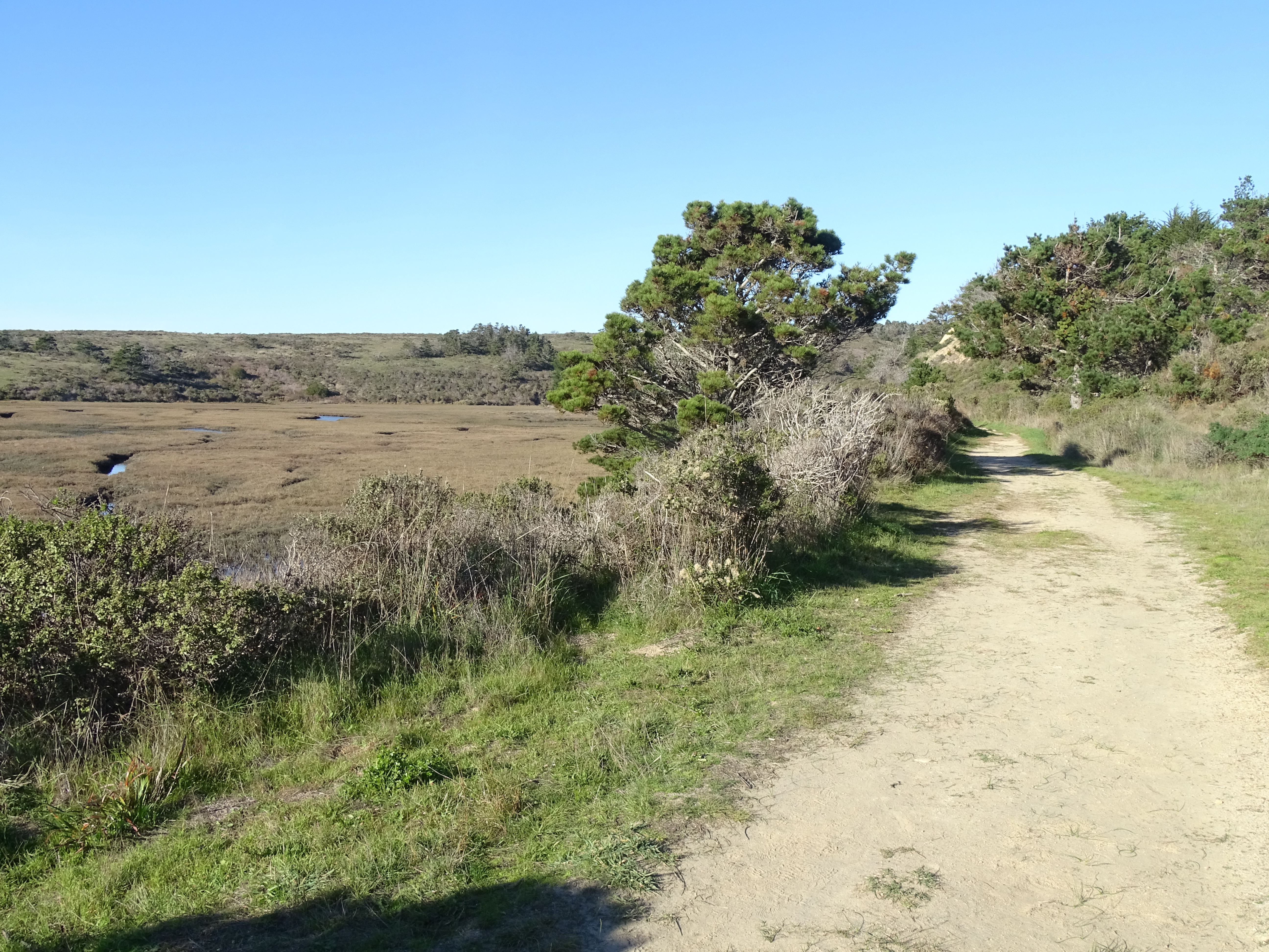 Hike the Muddy Hollow Trail