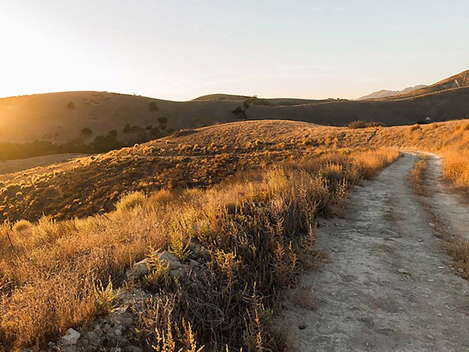 Trail view of rolling hills covered in gold vegetation at sunset.