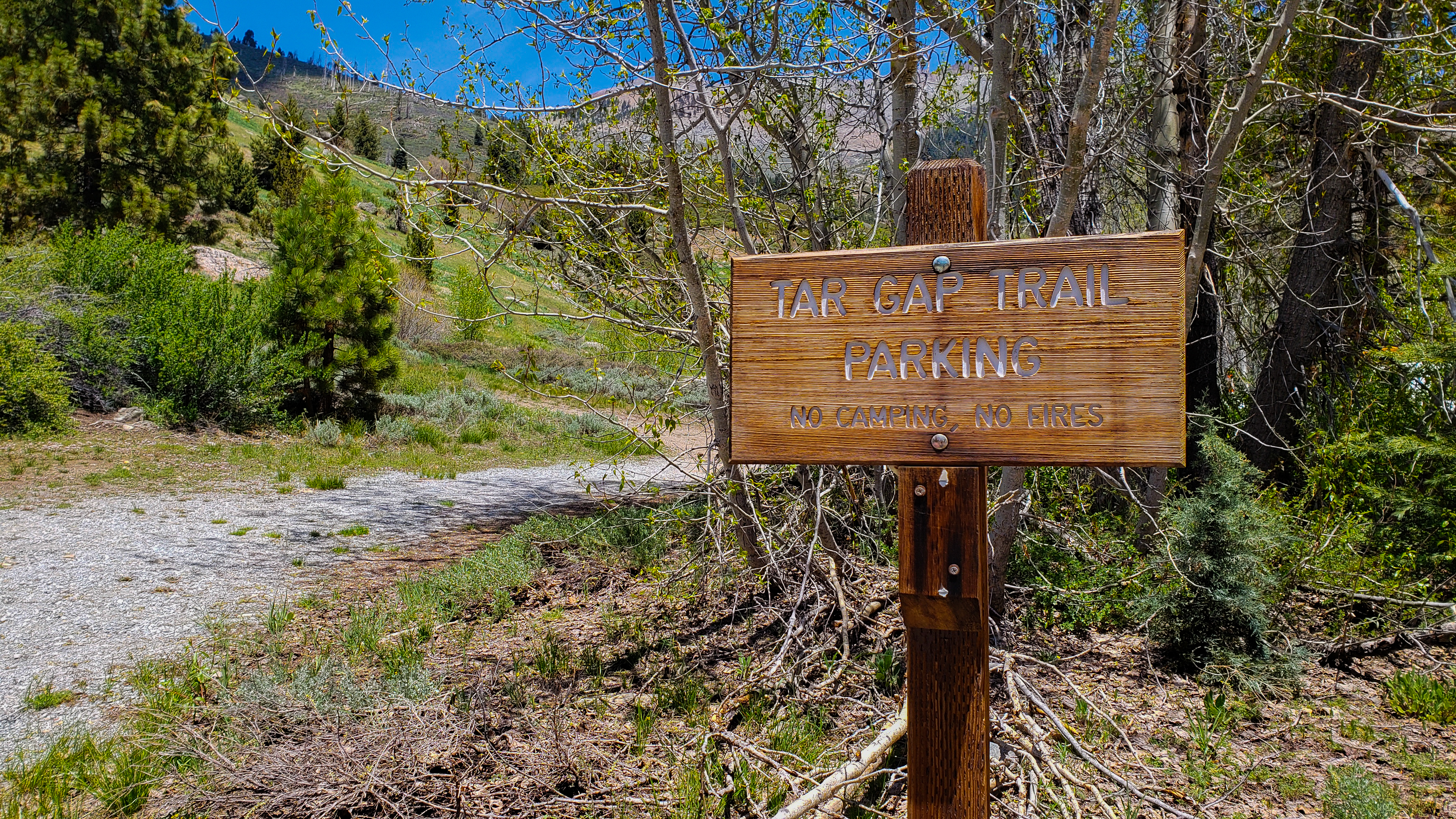 Tar Gap Trail Parking