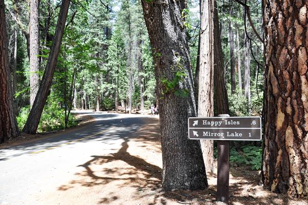 Signs and service road at Mirror Lake Trailhead