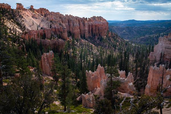 Forested canyon with tall bright orange limestone cliffs towering above