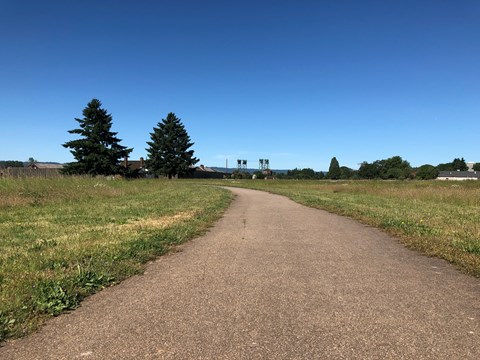 A paved trail on a sunny day