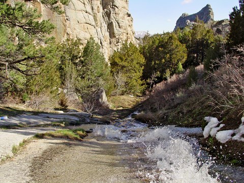 A creek cascades wildly down a granite slab.
