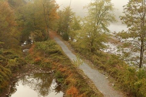 Gravel path flanked by grass, trees. River on 1 side, remains of partially-filled canal on other.