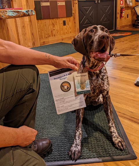 Hand holding booklet and pet tag in front of a brown and white spotted dog in the visitor center